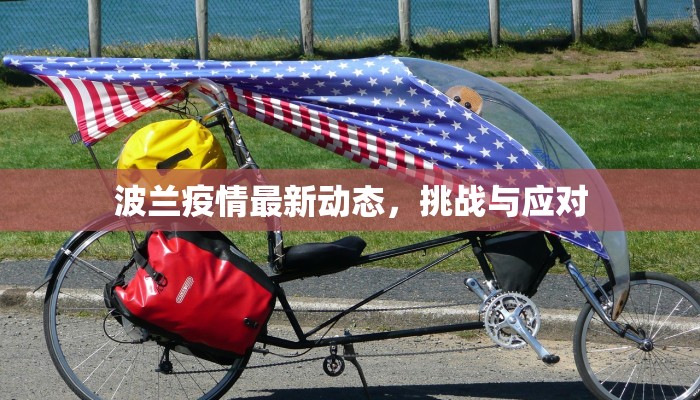 波兰疫情最新动态，挑战与应对