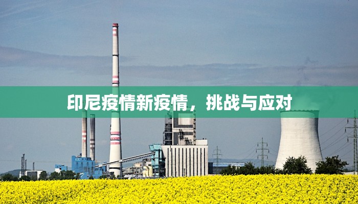 王者荣耀猴子攻略视频，从入门到精通的全面指南