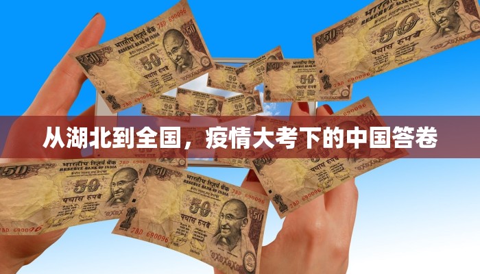 从湖北到全国，疫情大考下的中国答卷