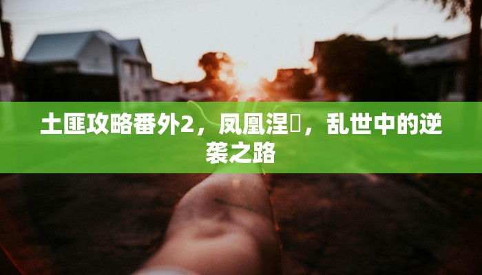 土匪攻略番外2，凤凰涅槃，乱世中的逆袭之路