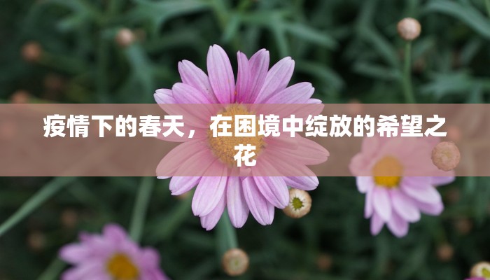 广州限行日出行扣分吗？详解限行政策与扣分规则