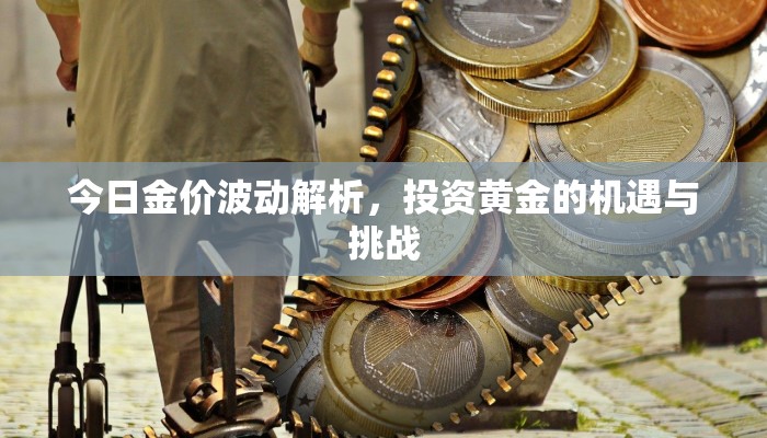 今日金价波动解析，投资黄金的机遇与挑战