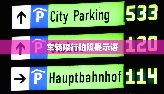 仙五前传属性修改器