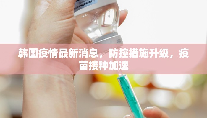 暗影套装地下城攻略，全面解析与高效通关技巧