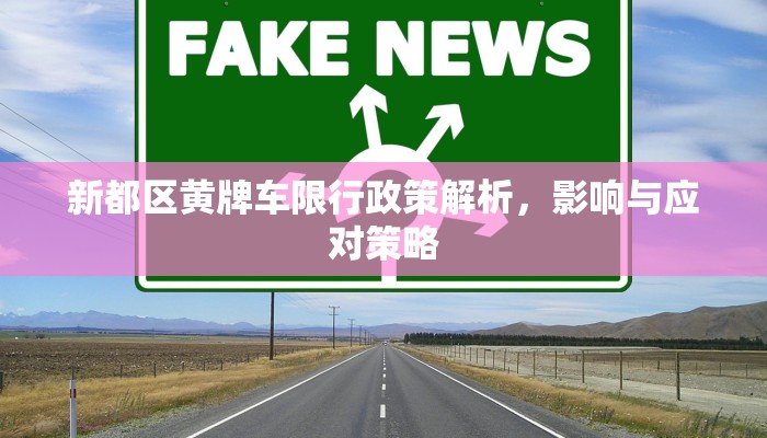 新都区黄牌车限行政策解析，影响与应对策略