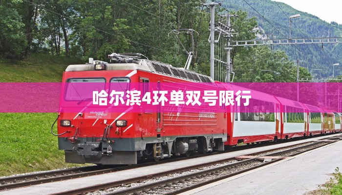 哈尔滨4环单双号限行