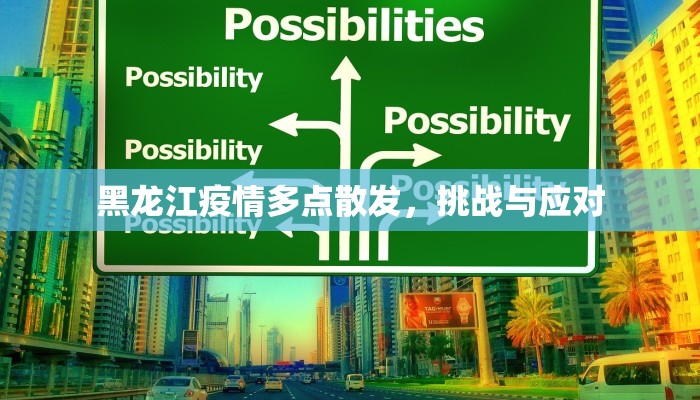 黑龙江疫情多点散发，挑战与应对