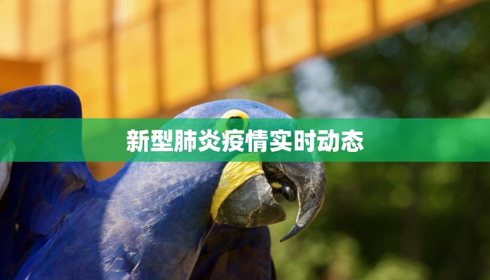 秒懂百科!金花大厅链接/牛魔王大厅怎么买房卡低价获取"!’分享房卡给大家 秒懂百科!金花大厅链接/牛魔王大厅怎么买房卡低价获取"!’分享房卡给大家
