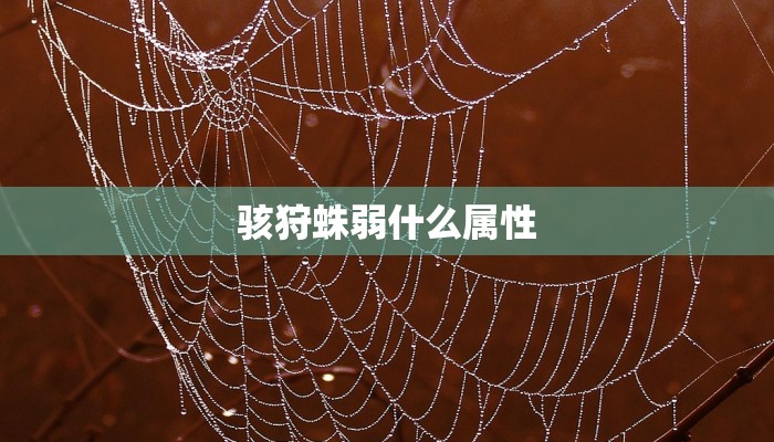 兰州疫情现况，防控措施升级，市民生活与经济发展面临挑战