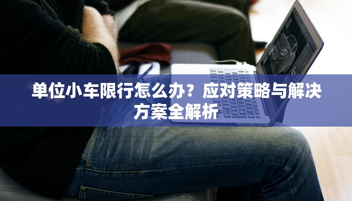 单位小车限行怎么办？应对策略与解决方案全解析