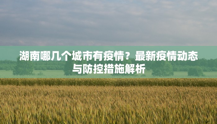 湖南哪几个城市有疫情？最新疫情动态与防控措施解析
