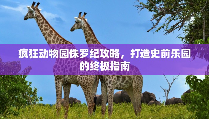 熹妃传阵法攻略，如何巧妙布局，轻松制胜