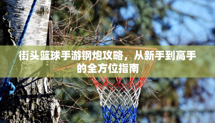 街头篮球手游钢炮攻略，从新手到高手的全方位指南