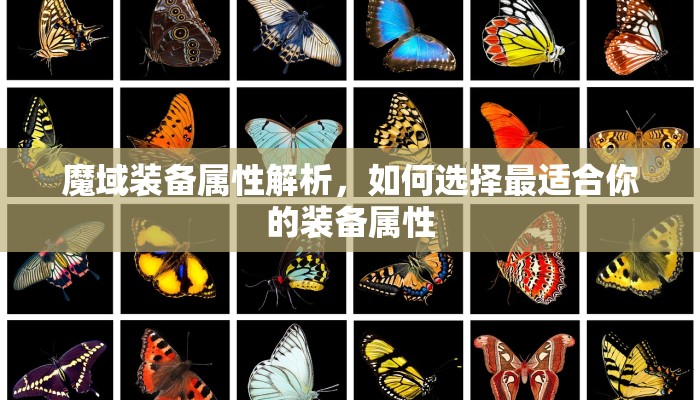 魔域装备属性解析，如何选择最适合你的装备属性