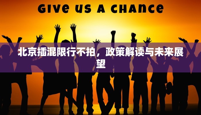 北京插混限行不拍，政策解读与未来展望