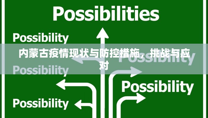 内蒙古疫情现状与防控措施，挑战与应对