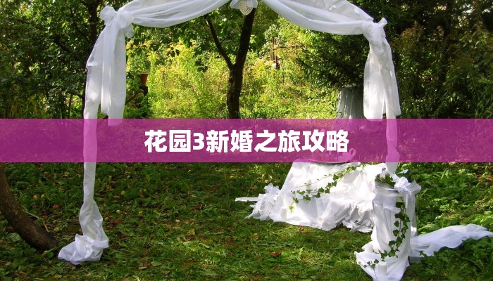花园3新婚之旅攻略