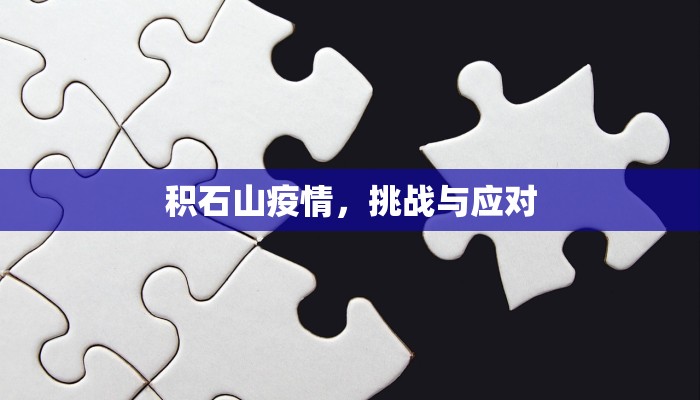 积石山疫情，挑战与应对