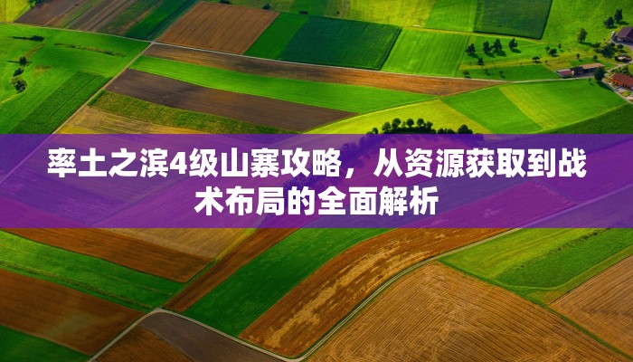 率土之滨4级山寨攻略，从资源获取到战术布局的全面解析