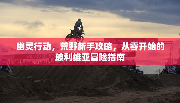 激战2粉武器改属性