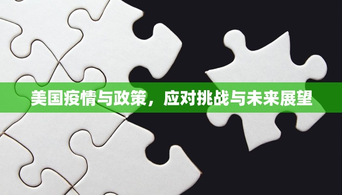 美国疫情与政策，应对挑战与未来展望