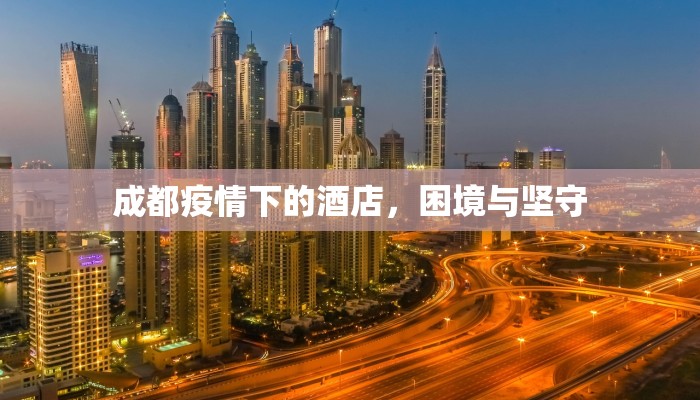 7号金价波动，国际金价走势分析与未来展望