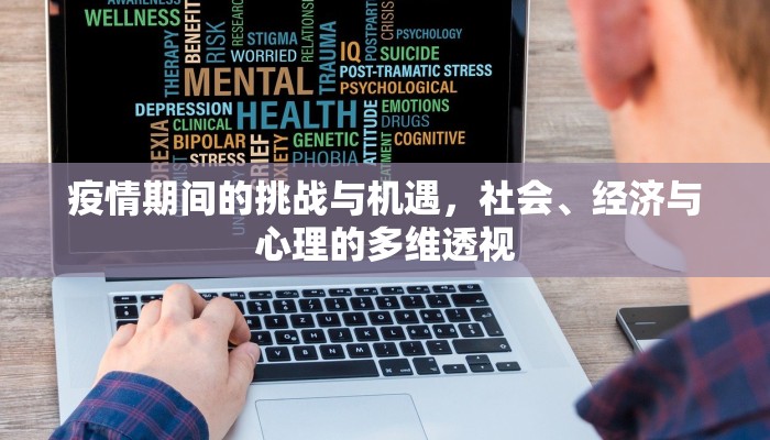 疫情期间的挑战与机遇，社会、经济与心理的多维透视