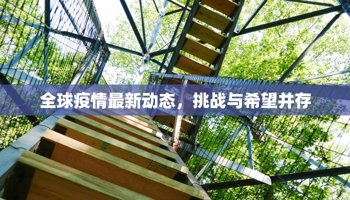 全球疫情最新动态，挑战与希望并存