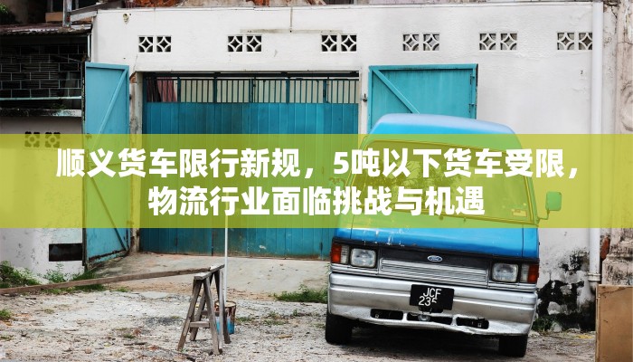 精灵之王图文攻略大全，从入门到精通的全方位指南
