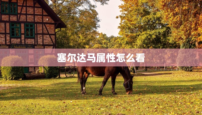 塞尔达马属性怎么看
