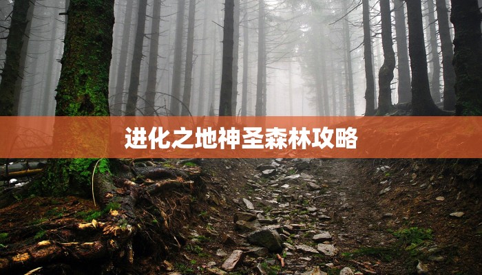 进化之地神圣森林攻略