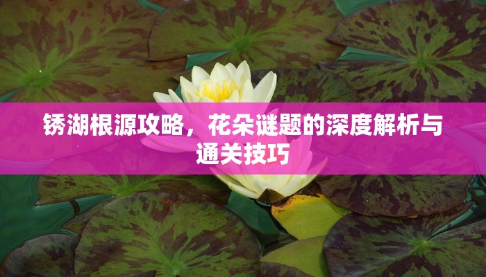 锈湖根源攻略，花朵谜题的深度解析与通关技巧
