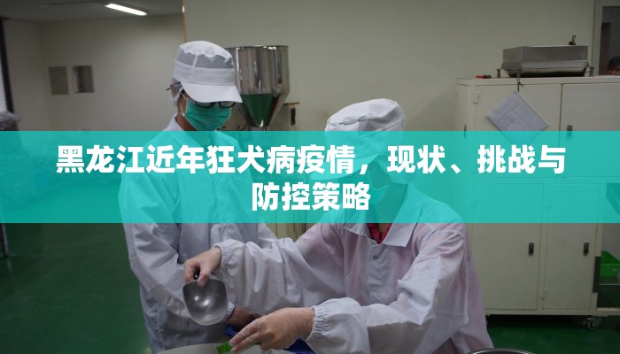 海贼王之攻略如神，从草帽团到四皇的制胜之道