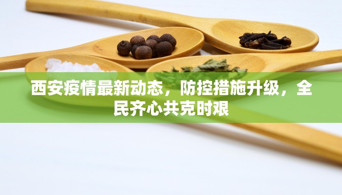 西安疫情最新动态，防控措施升级，全民齐心共克时艰