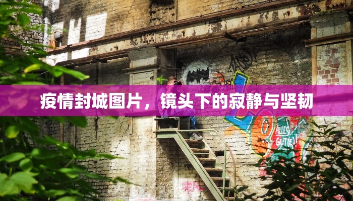 疫情封城图片，镜头下的寂静与坚韧