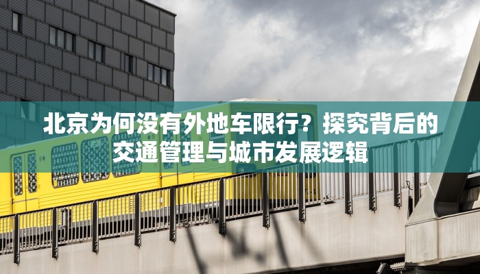 寻仙法师凤麟装备属性