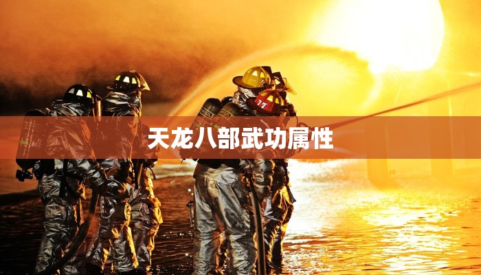 天龙八部武功属性