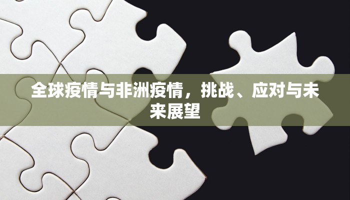 全球疫情与非洲疫情，挑战、应对与未来展望