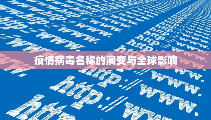 2020年端午节上海限行政策解析，出行指南与应对策略