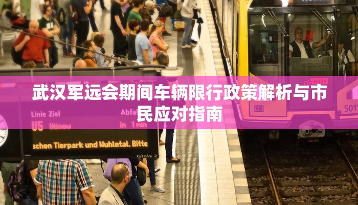 2021年苏州市限行政策解析，背景、措施与影响