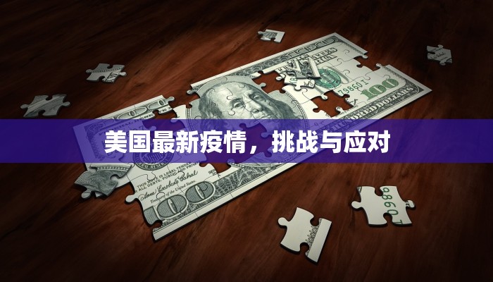 美国最新疫情，挑战与应对
