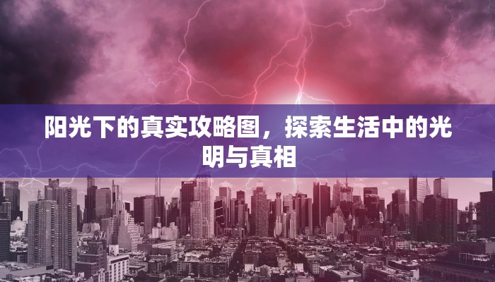 浙A区域号牌限行政策详解，如何避免罚单与应对策略