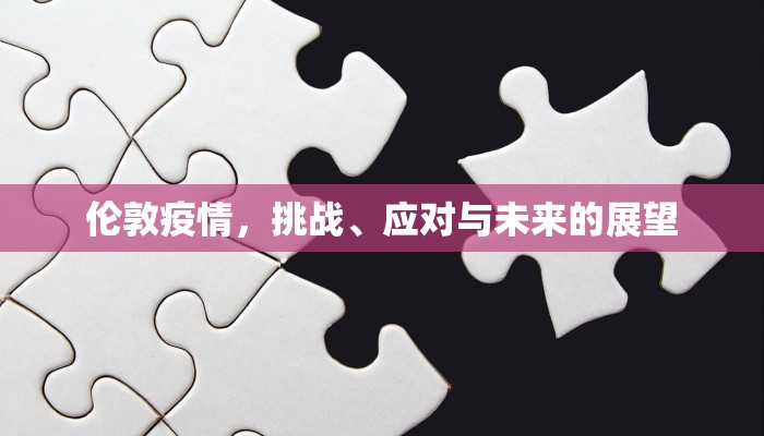 伦敦疫情，挑战、应对与未来的展望