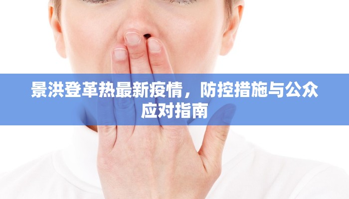 景洪登革热最新疫情，防控措施与公众应对指南