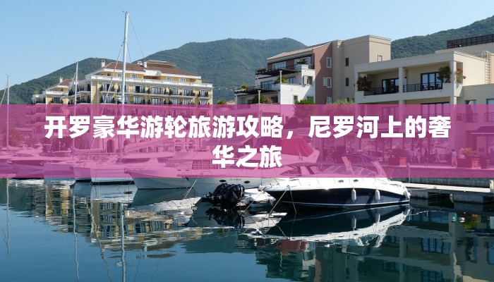 牛牛大厅链接,新天道大厅在哪里买房卡低价获取"!’分享房卡给大家 牛牛大厅链接,新天道大厅在哪里买房卡低价获取"!’分享房卡给大家