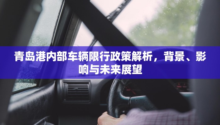 青岛港内部车辆限行政策解析，背景、影响与未来展望