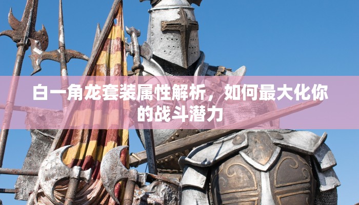白一角龙套装属性解析，如何最大化你的战斗潜力