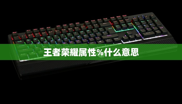 王者荣耀属性%什么意思