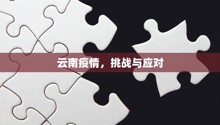 云南疫情，挑战与应对