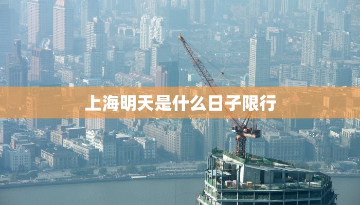 上海明天是什么日子限行